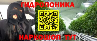 соль ск Пенза