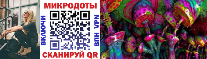 Галлюциногенные грибы Psilocybine cubensis  купить   Отрадное 