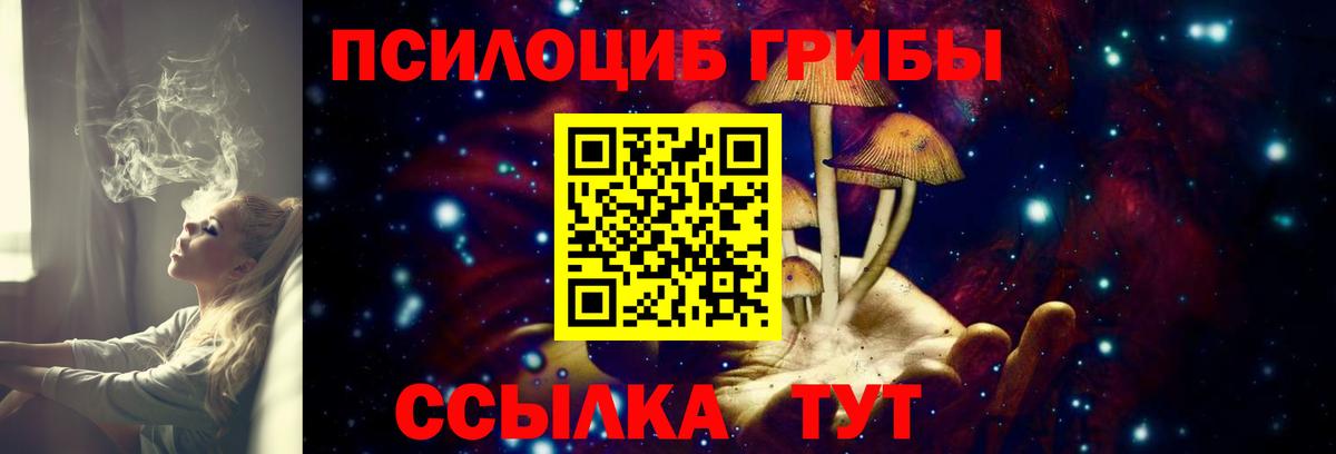 Галлюциногенные грибы Cubensis Отрадное